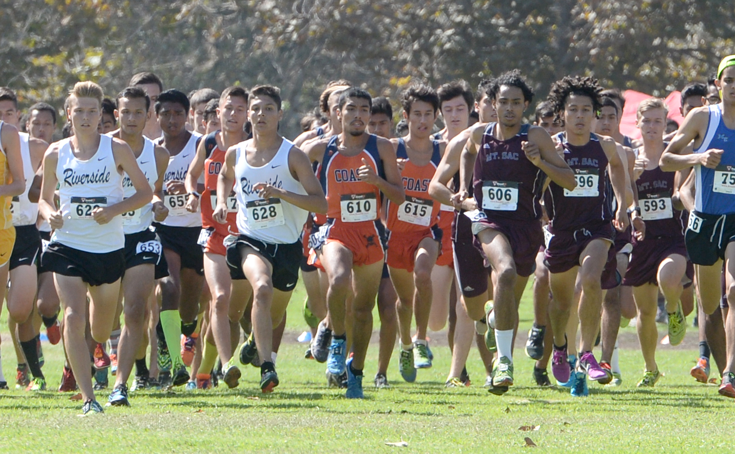 Dominguez sets All-American pace for Pirates at State Meet